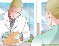Image result for Cat CPR Art