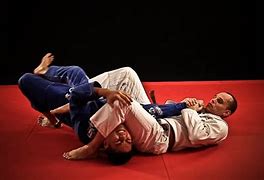 Image result for Jiu Jitsu Fighting Style