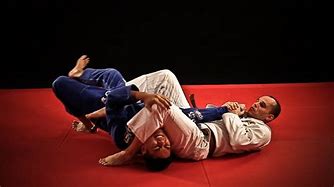 Image result for Jiu Jitsu Pining