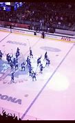 Image result for Maple Leafs Hockey