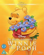Image result for The Many Adventures of Winnie the Pooh Movie
