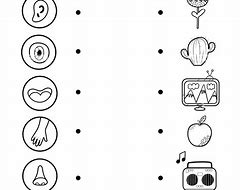 Image result for 5 Senses Worksheets for Preschoolers