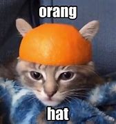 Image result for Cat Hat Meme