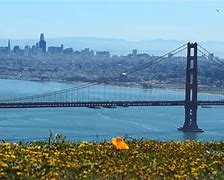 Image result for 3200 California St., San Francisco, CA 94159 United States