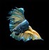 Image result for iPhone 6s Fish Wallpaper