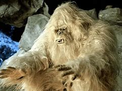 Image result for Yeti Mythology