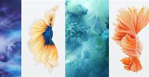 Image result for iPhone 6s iOS 9