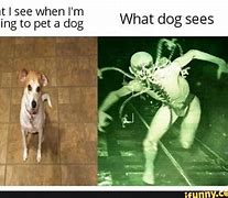 Image result for Dog Answering Phone Meme