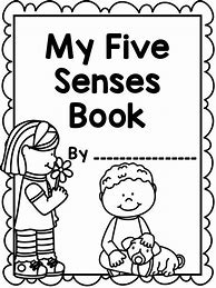 Image result for Five Senses Preschool Books
