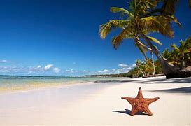 Image result for Cute Beachy Wallpaper