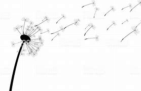 Image result for Dandelion Blowing in the Wind Drawing