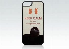 Image result for Funny iPhone 5S Cases