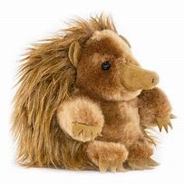 Image result for Echidna Stuffed Animal