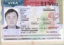 Image result for H1 Visa