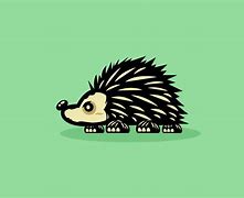 Image result for Hedgehog Ball in Towel