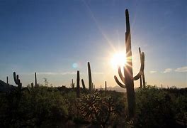 Image result for Tucson Arizona Winter
