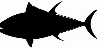 Image result for Tuna Fish Clip Art Black and White