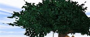 Image result for IMVU Tree Texture