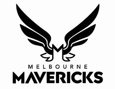 Image result for Mavericks Court