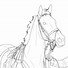 Image result for Dressage Horse Base Drawing