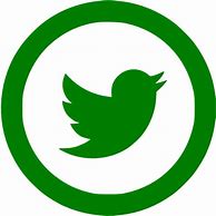 Image result for Green Twitter PNG