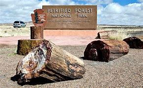 Image result for Petrified Forest National Park Sign