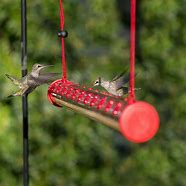 Image result for Rope Hanging Bird Feeders
