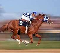Image result for Secretariat Horse Kentucky Derby