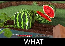 Image result for Watermelon Warrior Meme