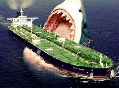 Image result for Biggest Shark in the World Real