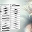 Image result for Illustration Brushes Photoshop