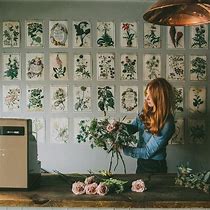 Image result for Botanical Wall Art Free