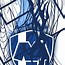 Image result for Monterrey Soccer Logo