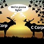 Image result for Difference Between S Corporation and C Corporation