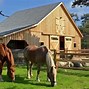 Image result for Horse Farm Ranch