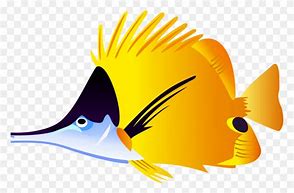 Image result for Real Fish Clip Art Bass