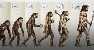 Image result for Homo Sapiens vs Sapiens Sapiens