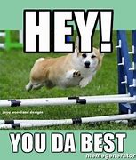 Image result for You the Best MEME Funny