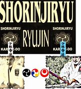 Image result for Shorinjiryu