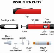 Image result for What Is a Insulin Pen