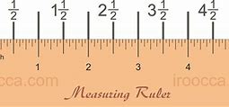 Image result for What Does Eight Inches Look Like