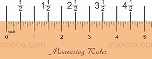 Image result for How Big Is 11.5 Inches
