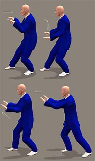 Image result for Tai Chi 108 Form