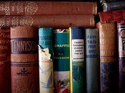 Image result for High School English Literature Books