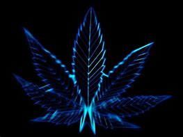 Image result for Neon Weed Background