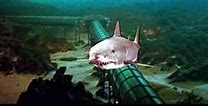 Image result for Jaws Bruce