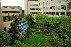 Image result for Palomar Medical Center Garden