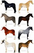 Image result for Black Forest Horse Drawing