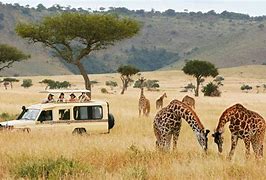 Image result for Africa