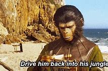 Image result for Planet of the Apes Meme Damn You